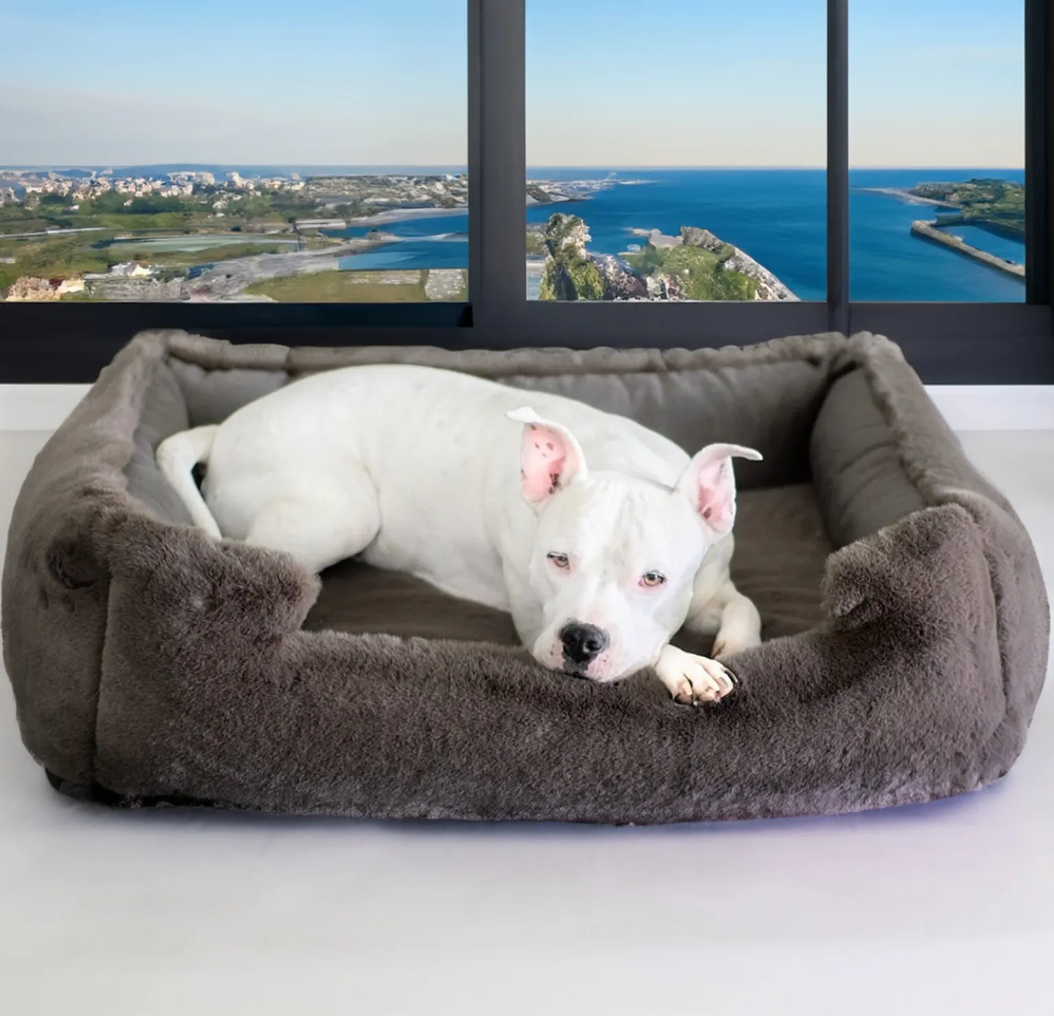 NEW: Ruby Puff® Ortho Lounger Companion-Pedic® Luxury Dog Bed