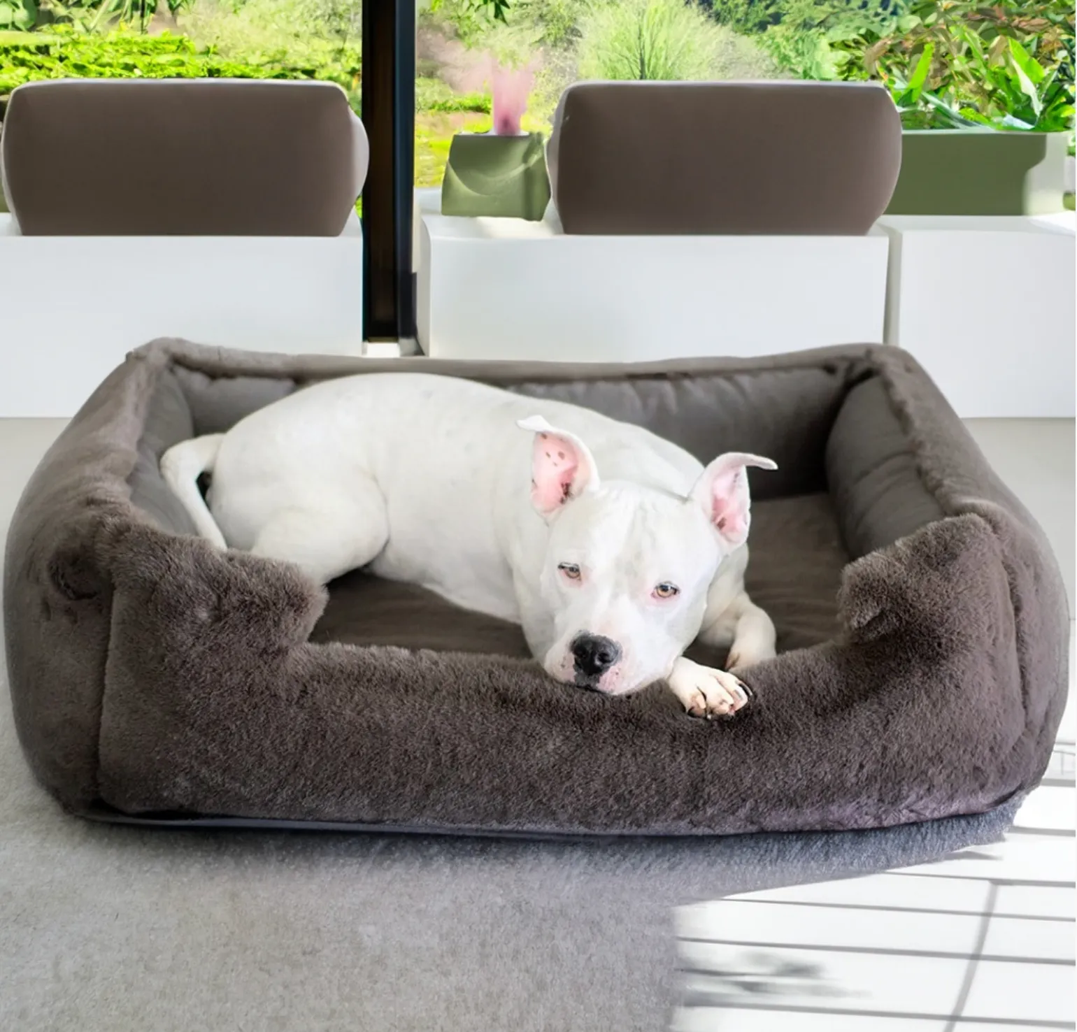 NEW: Ruby Puff® Ortho Lounger Companion-Pedic® Luxury Dog Bed