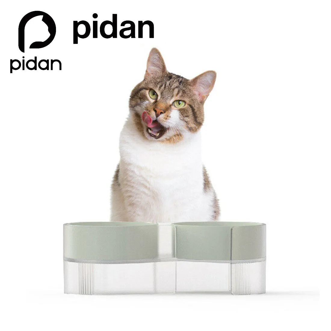 Pidan Elevated Cat Dog Double Dual Feeding Raised Bowls Bowl Set Tilted Stand - green