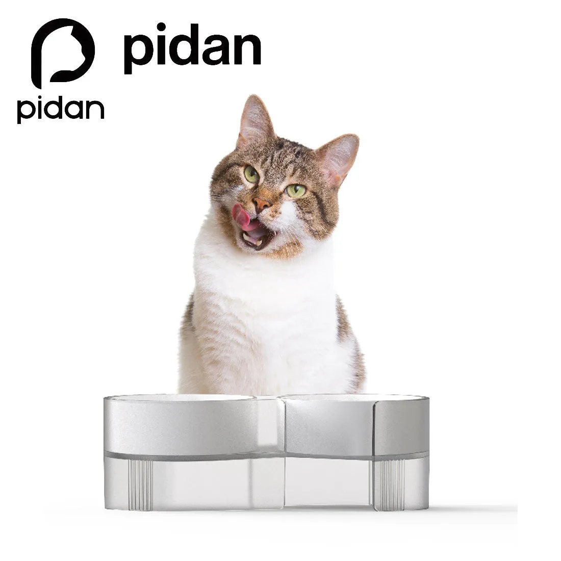 Pidan Elevated Cat Dog Double Dual Feeding Raised Bowls Bowl Set Tilted Stand - grey