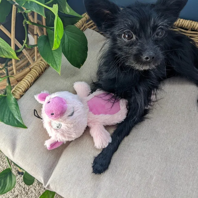 Piggie Smalls Dog Toy