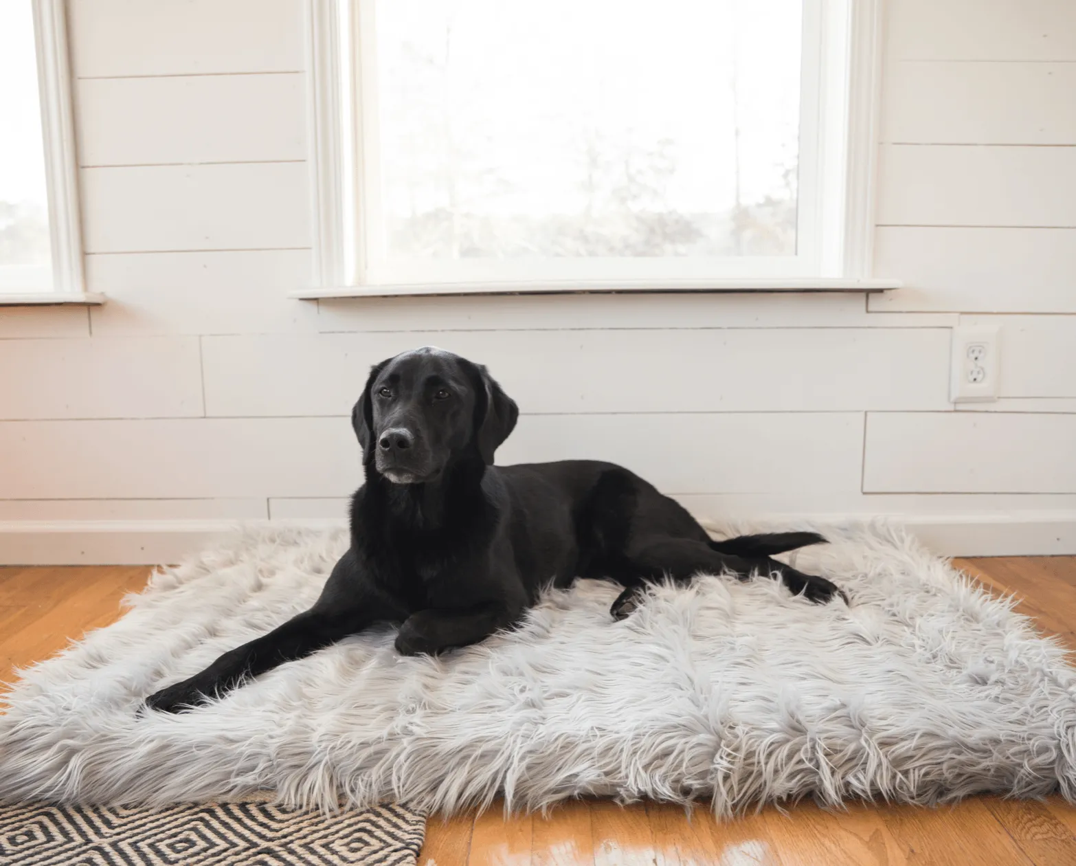 PupRug™ Bundle - Orthopedic Bed Rectangle, Grey   Matching Waterproof Blanket - Giant