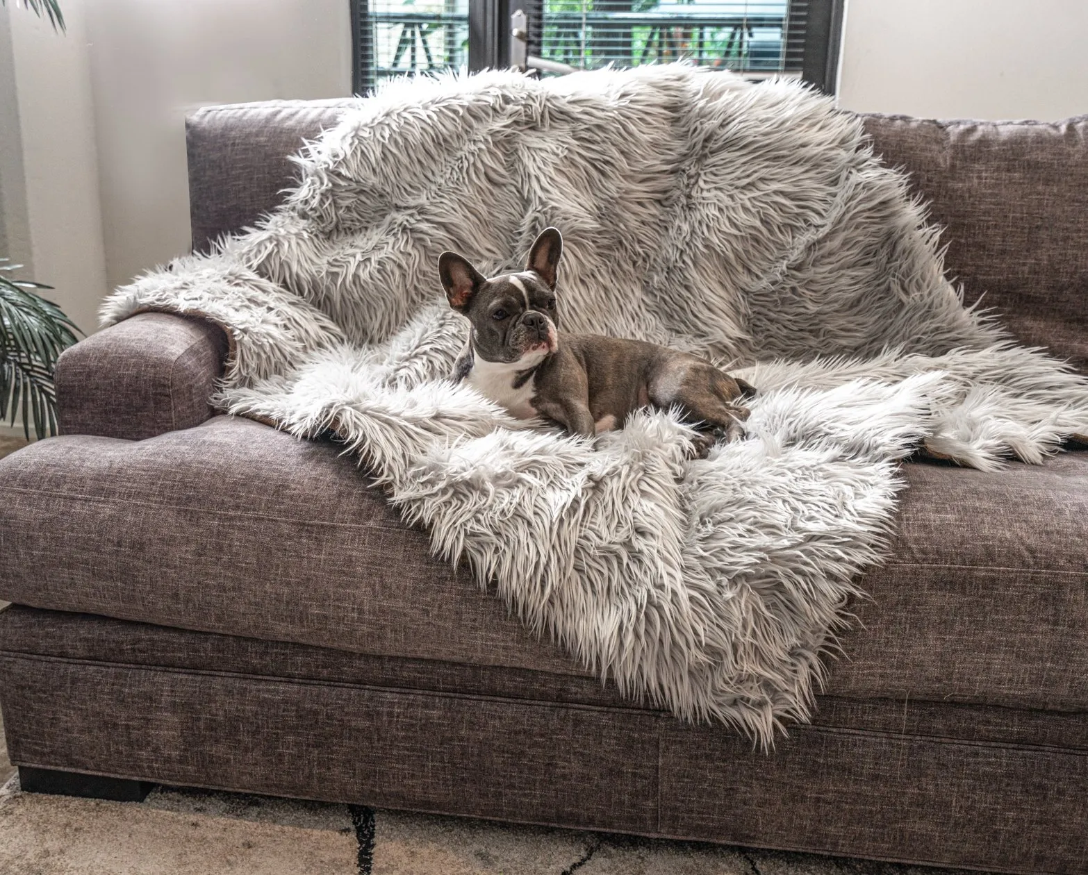 PupRug™ Bundle - Orthopedic Bed Rectangle, Grey   Matching Waterproof Blanket - Giant