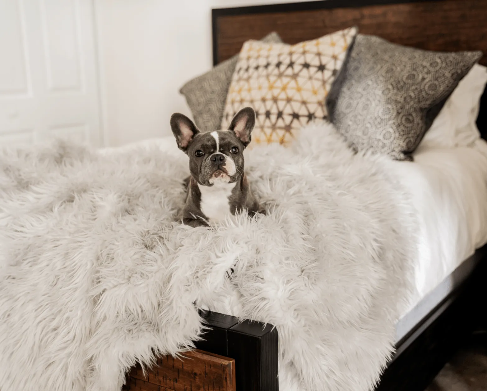 PupRug™ Bundle - Orthopedic Bed Rectangle, Grey   Matching Waterproof Blanket - Giant