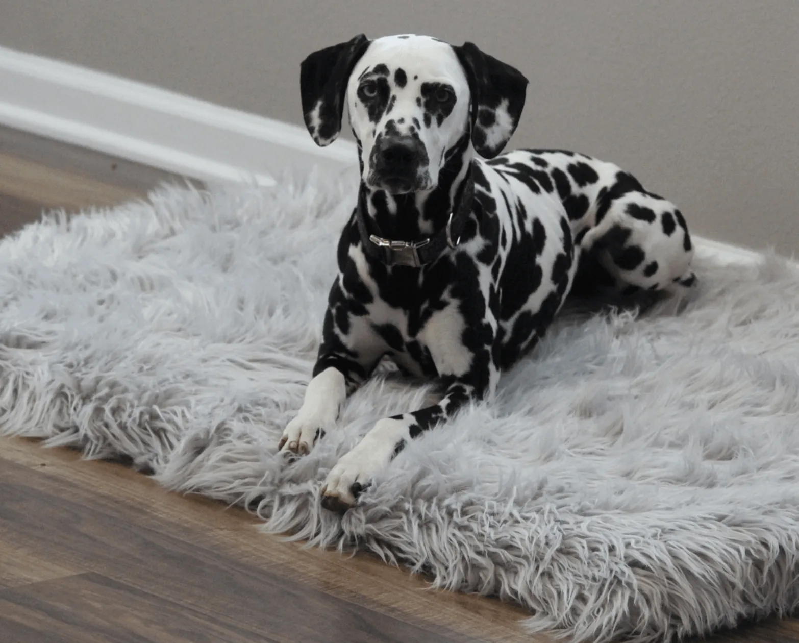 PupRug™ Faux Fur Orthopedic Dog Bed - Rectangle Grey