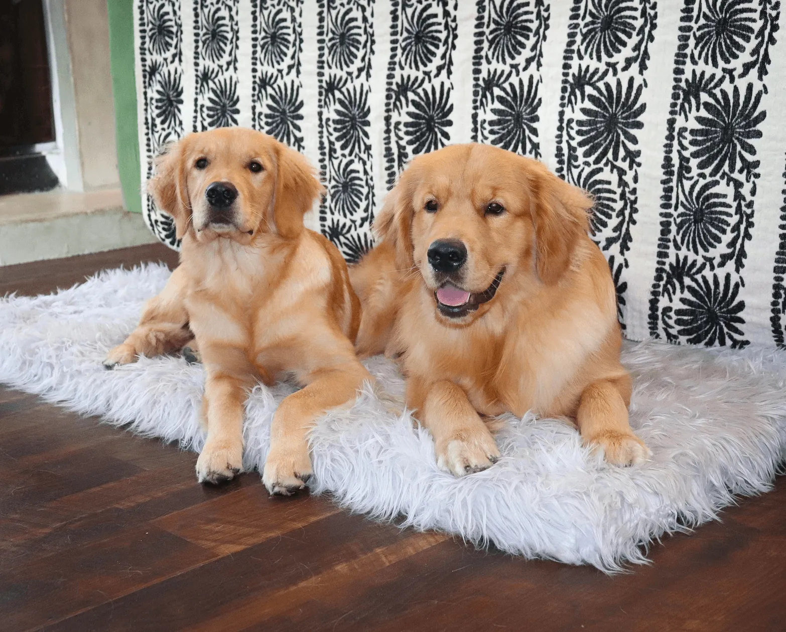 PupRug™ Faux Fur Orthopedic Dog Bed - Rectangle Grey