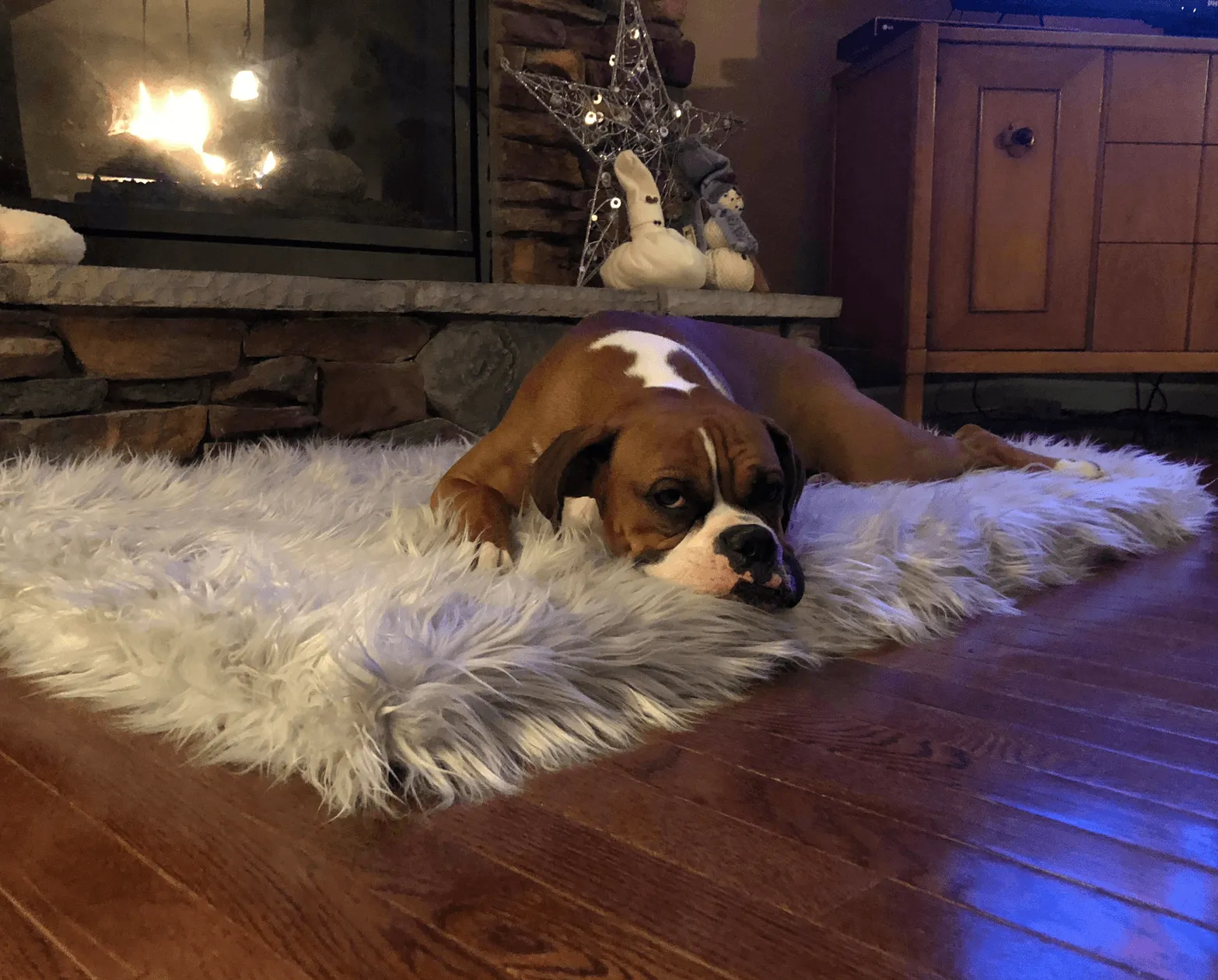 PupRug™ Faux Fur Orthopedic Dog Bed - Rectangle Grey