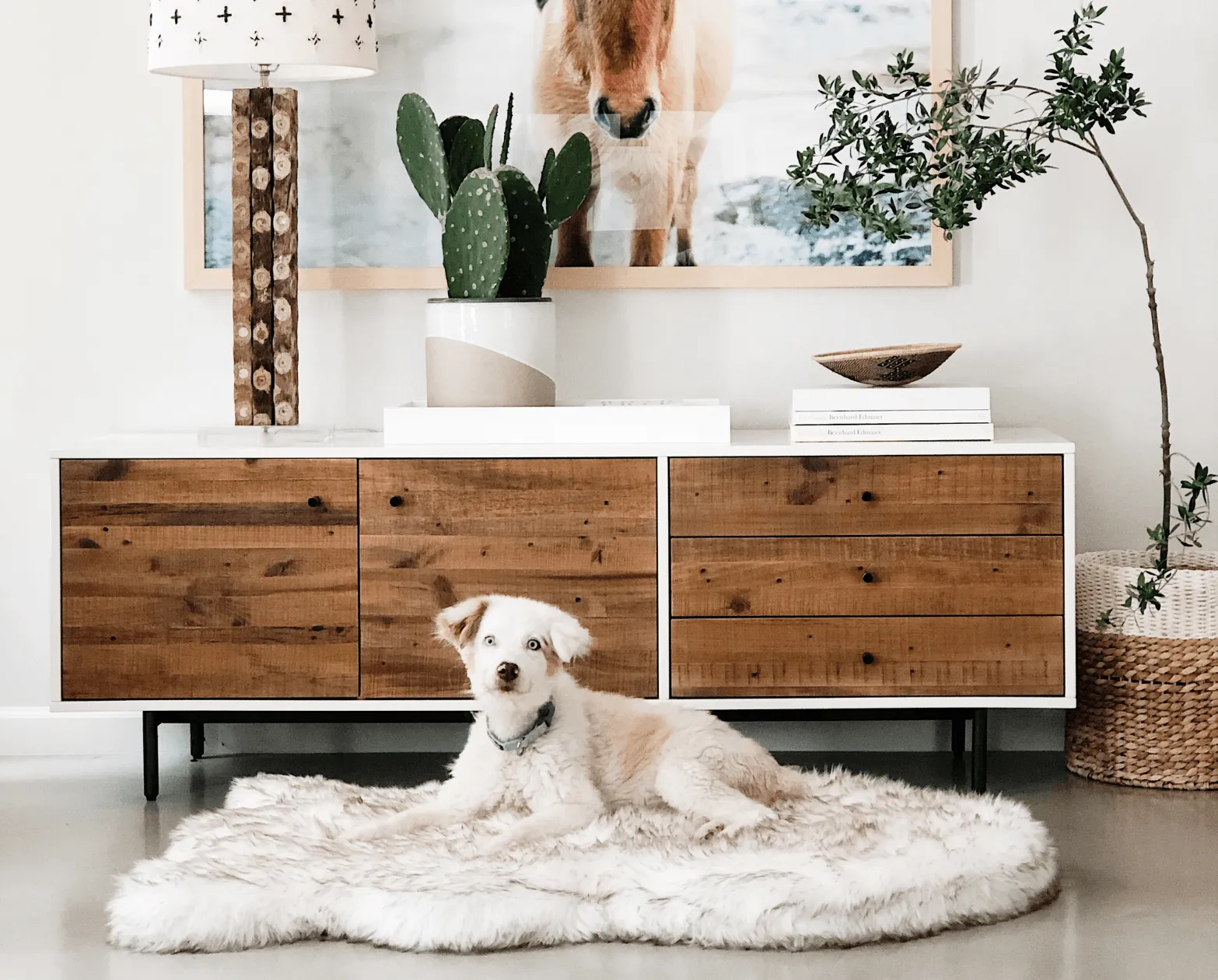PupRug™ Orthopedic Bed   Matching Waterproof Blanket Bundle - White with Brown Accents