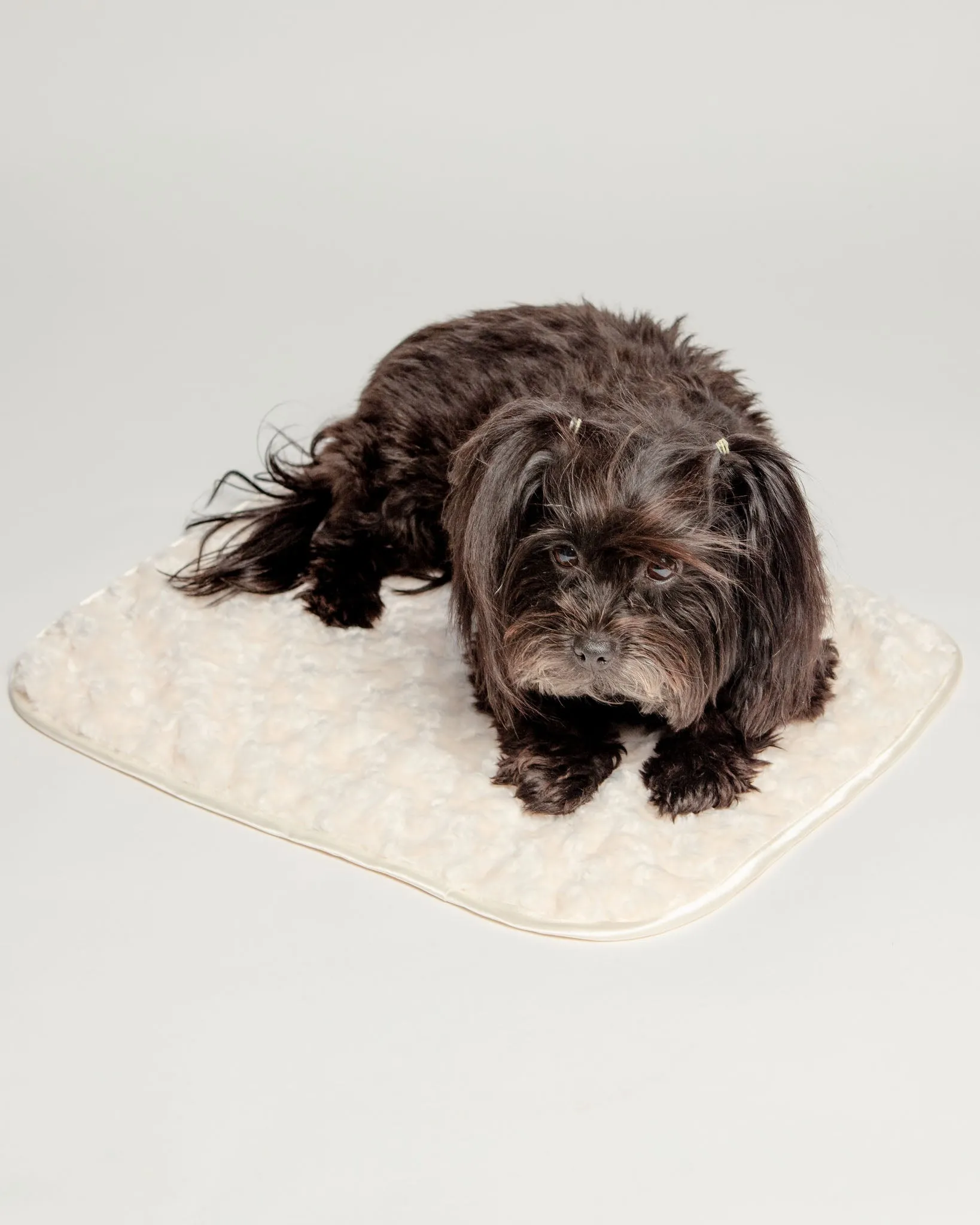 Rosebud Dog Blanket in Cream (Made in the USA)
