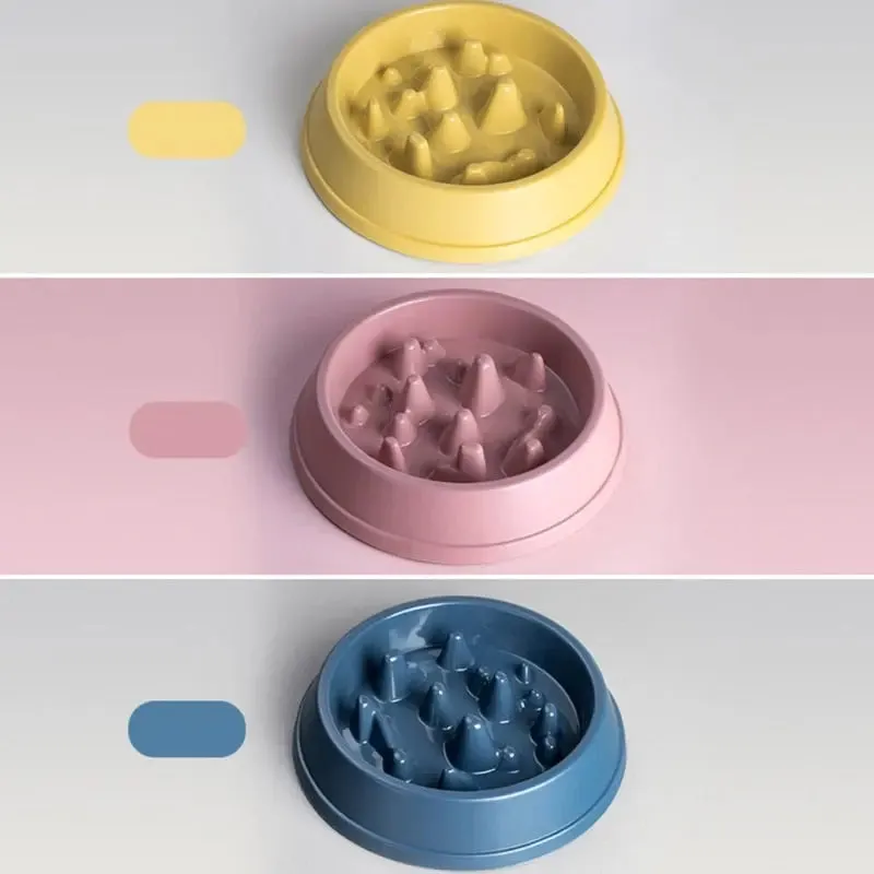 Slow Feed Dog Bowls
