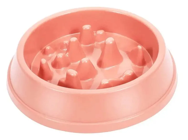 Slow Feed Dog Bowls