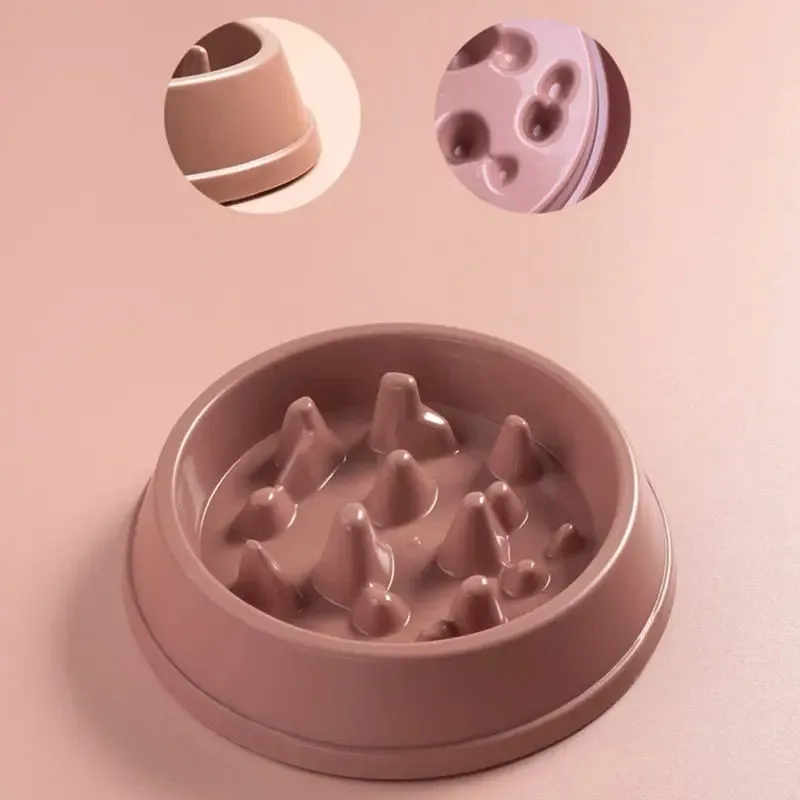Slow Feed Dog Bowls