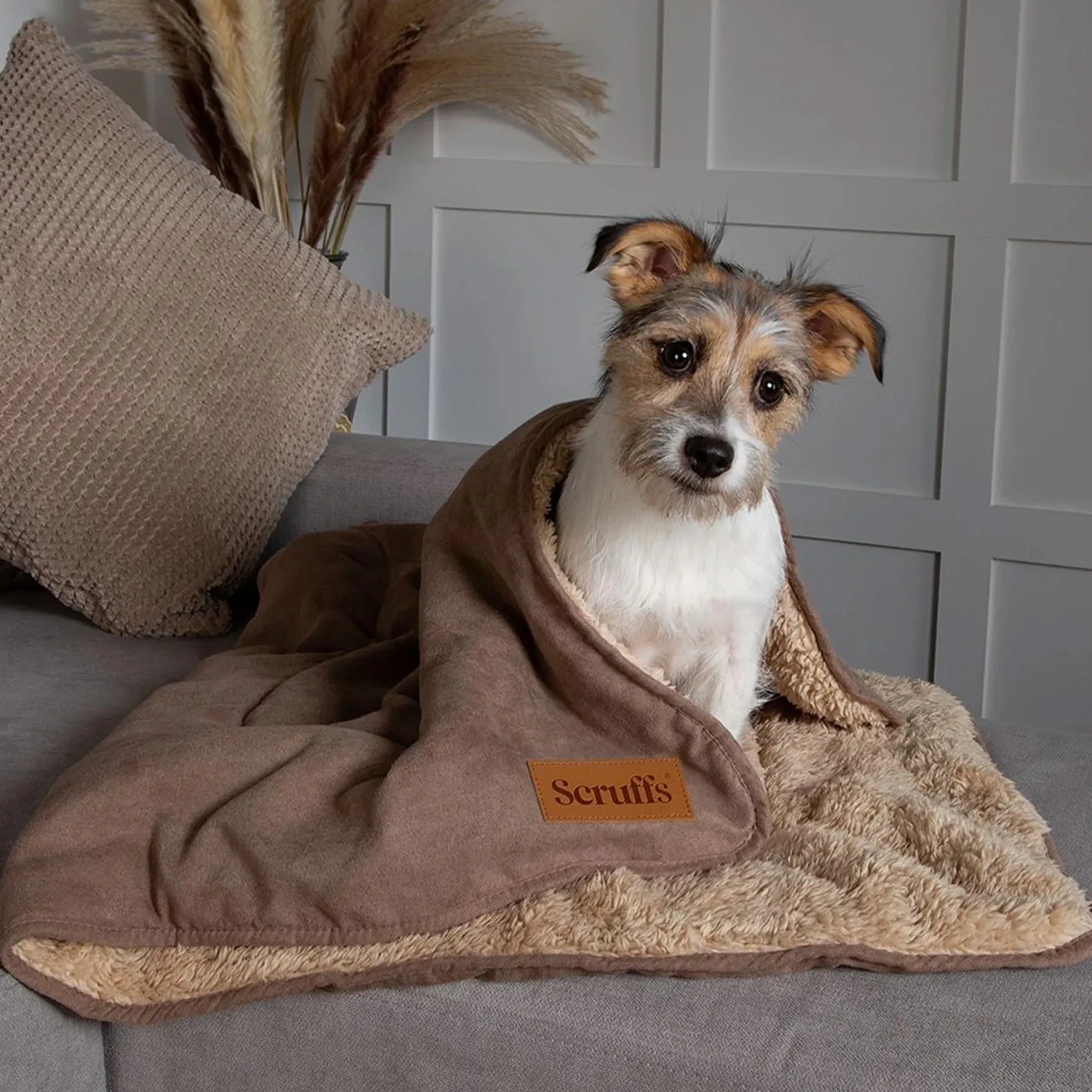 Snuggle Blanket