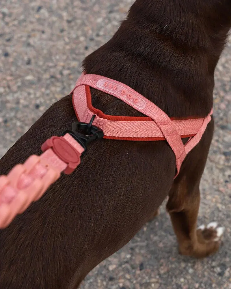 SofterWalk No-Pull Dog Harness in Canyon