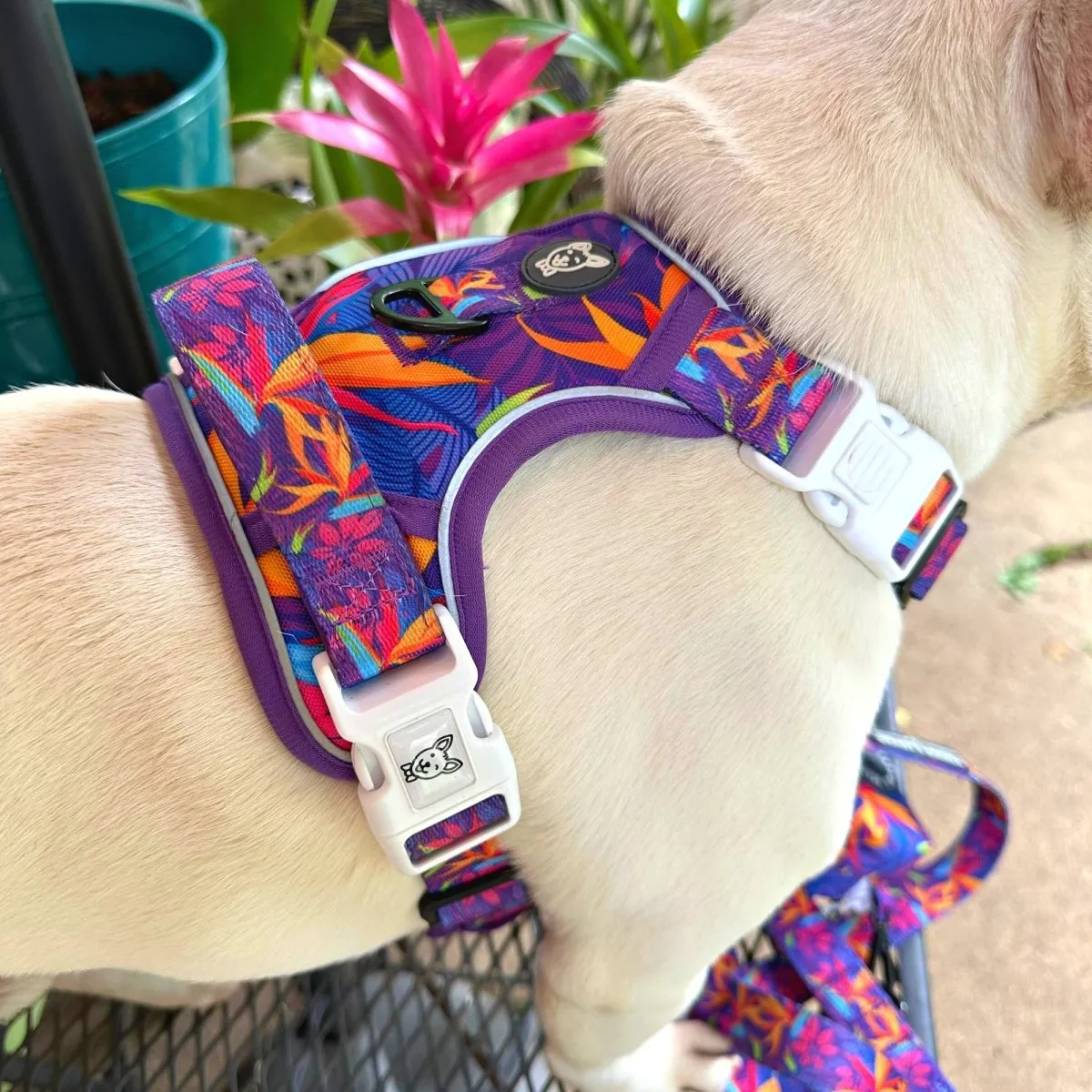 Tropical No Pull Dog Harness - CLEARANCE
