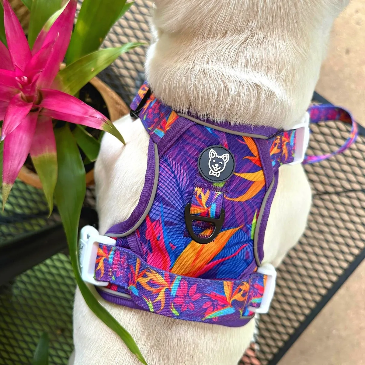 Tropical No Pull Dog Harness - CLEARANCE