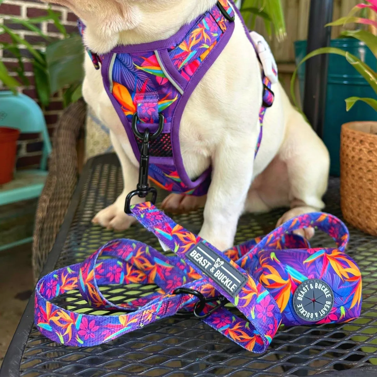 Tropical No Pull Dog Harness - CLEARANCE
