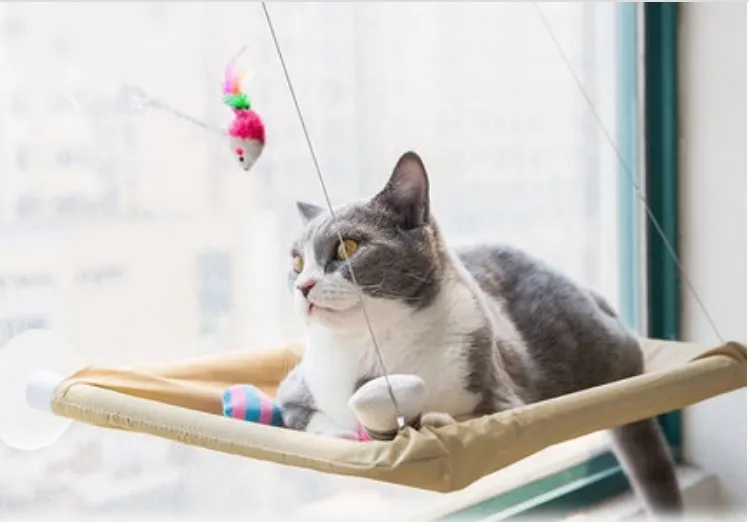Window Bed For Cat