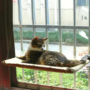 Window Bed For Cat